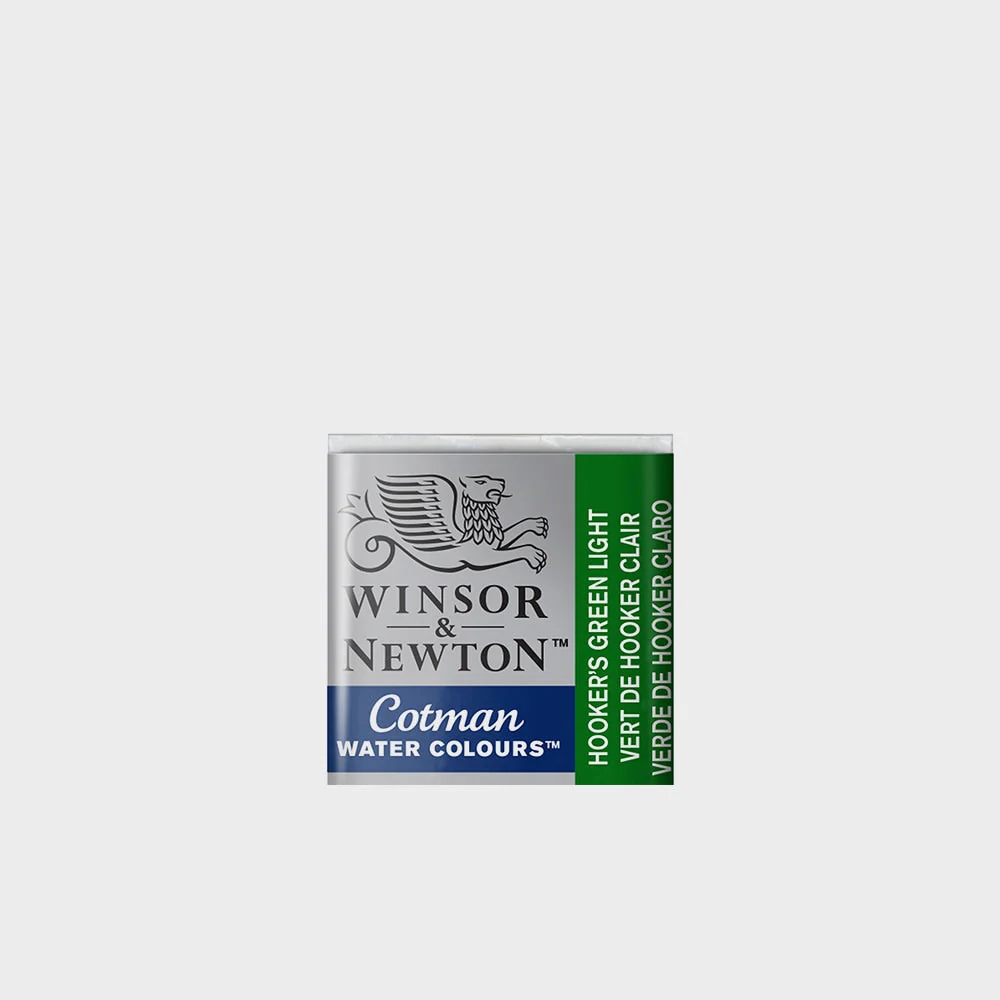 Acuarela Winsor & Newton Godet - Image 17