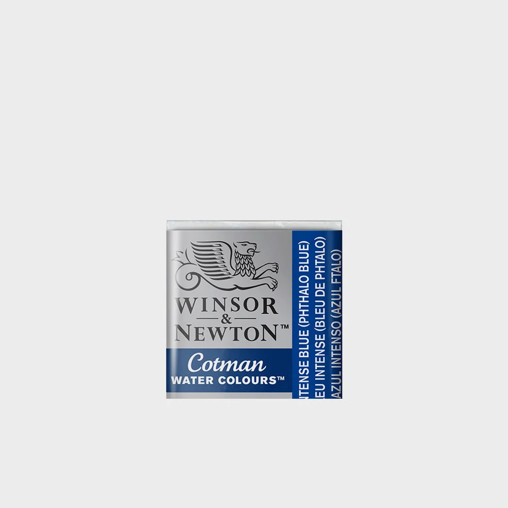 Acuarela Winsor & Newton Godet - Image 20