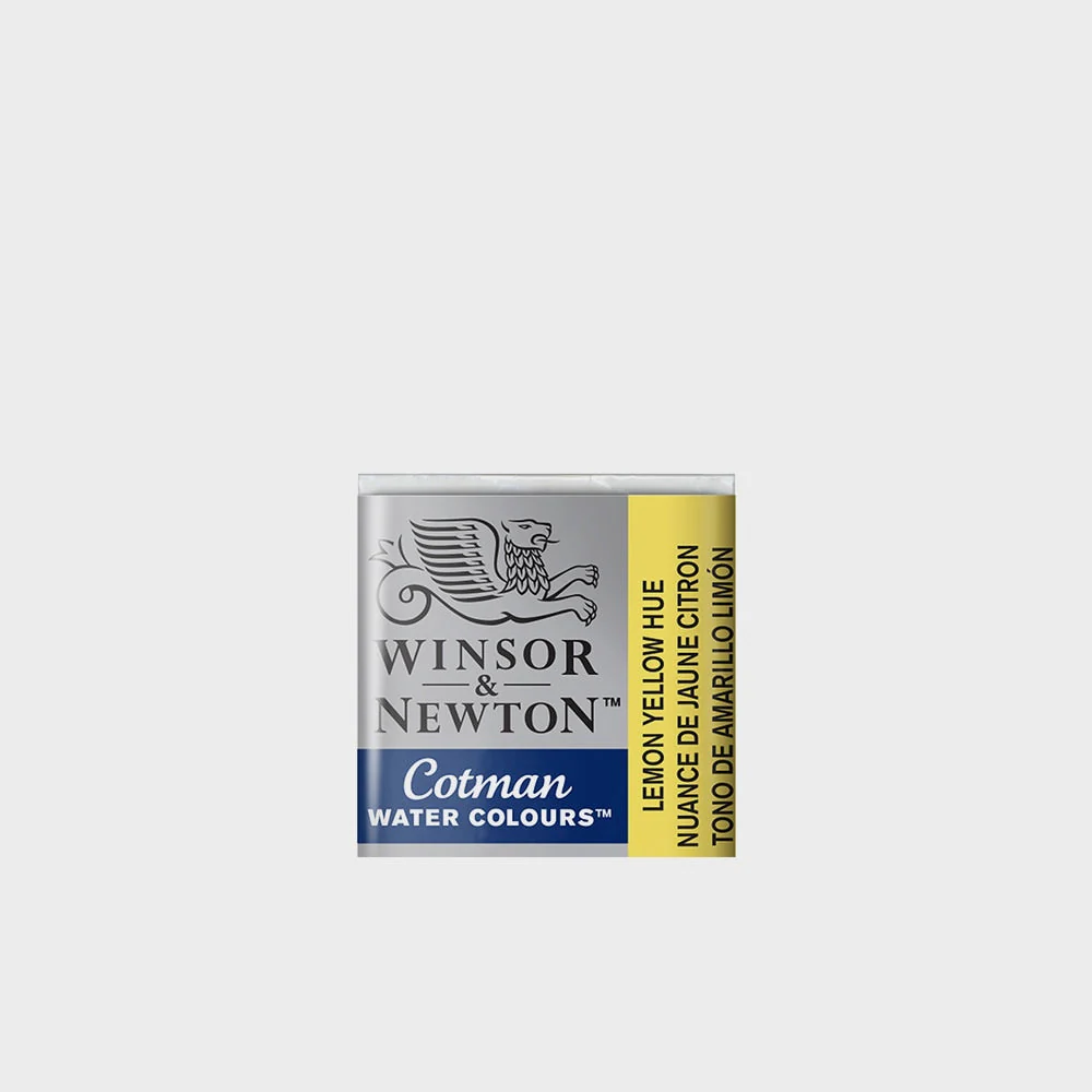 Acuarela Winsor & Newton Godet - Image 24