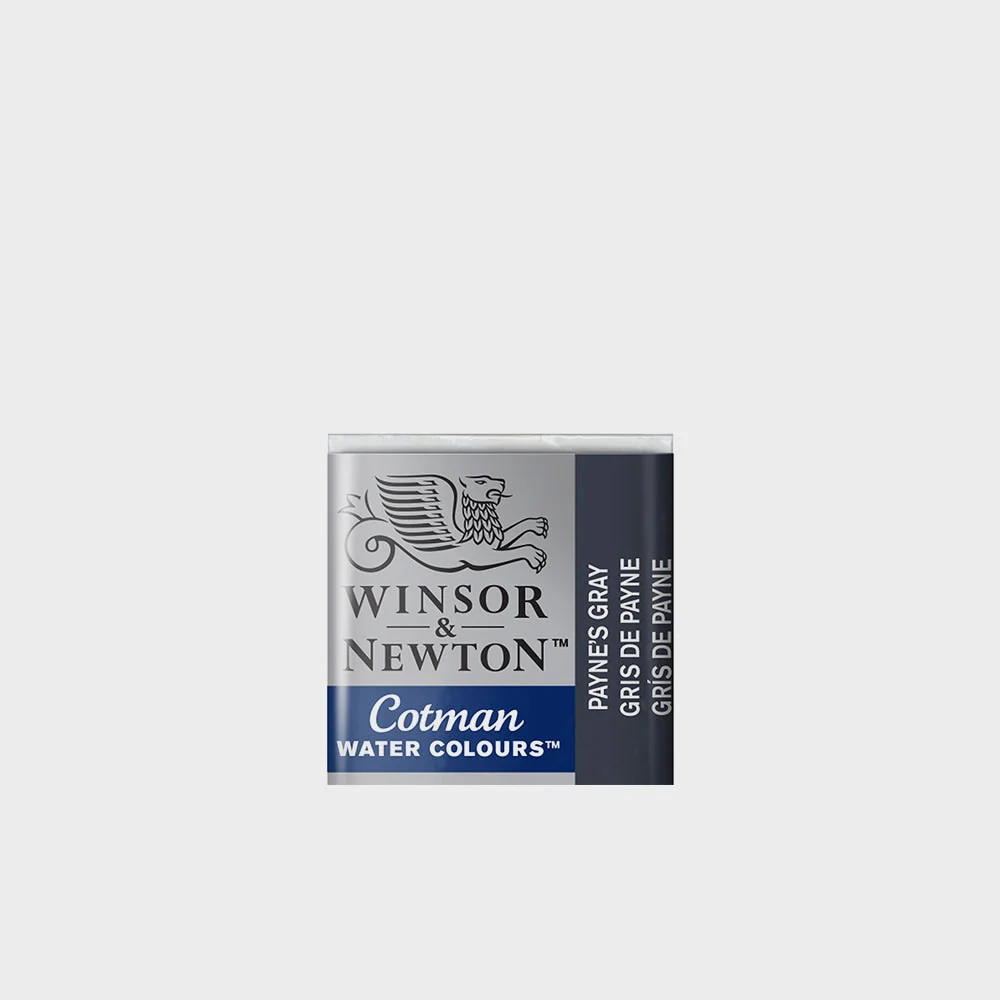 Acuarela Winsor & Newton Godet - Image 27