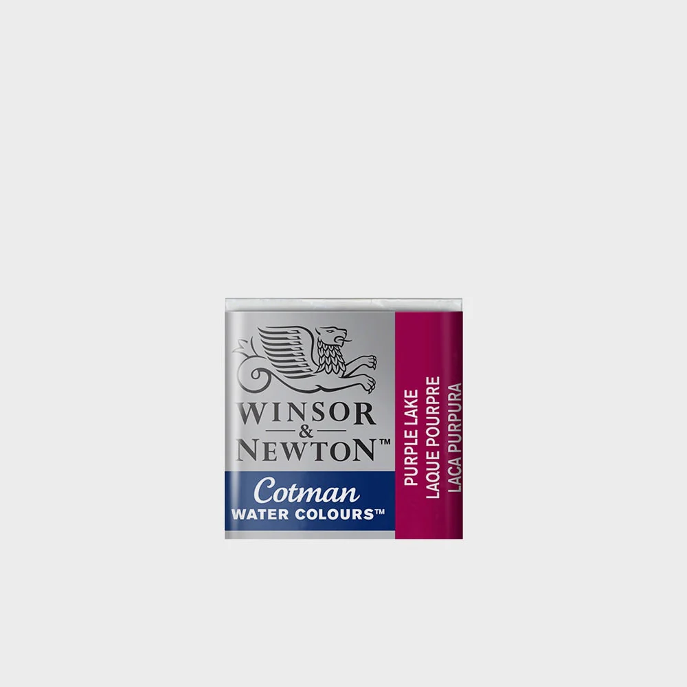 Acuarela Winsor & Newton Godet - Image 30