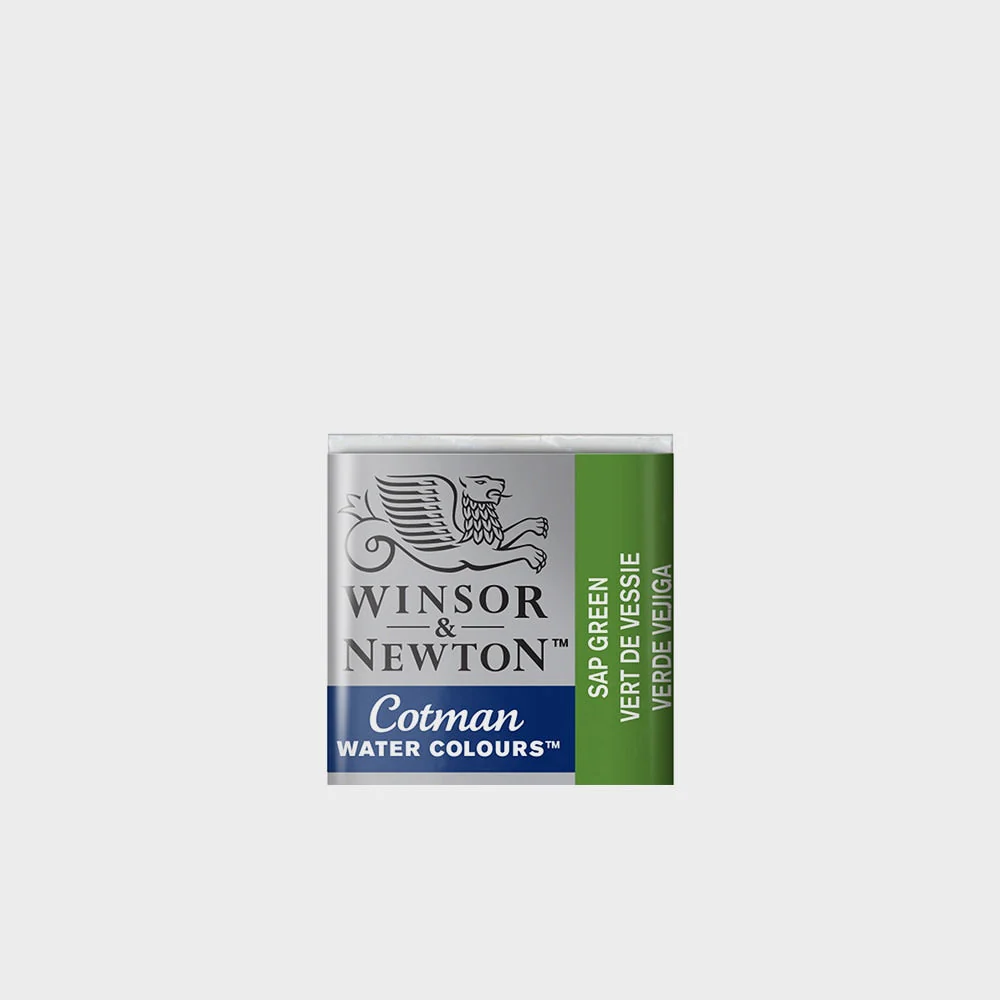Acuarela Winsor & Newton Godet - Image 34