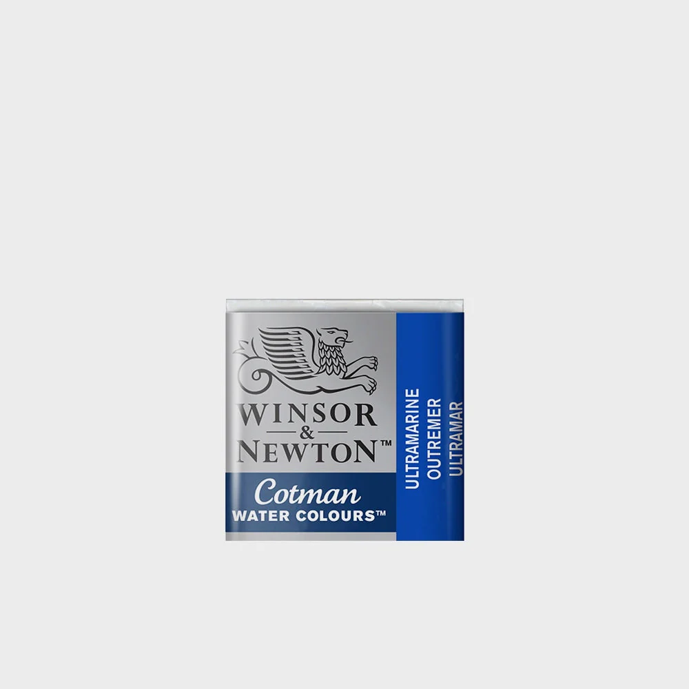 Acuarela Winsor & Newton Godet - Image 37