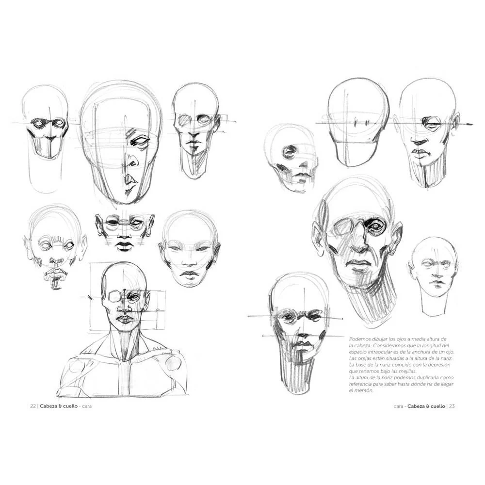 Anatomía artística 2: Cómo dibujar el cuerpo humano de forma esquemática - Image 2