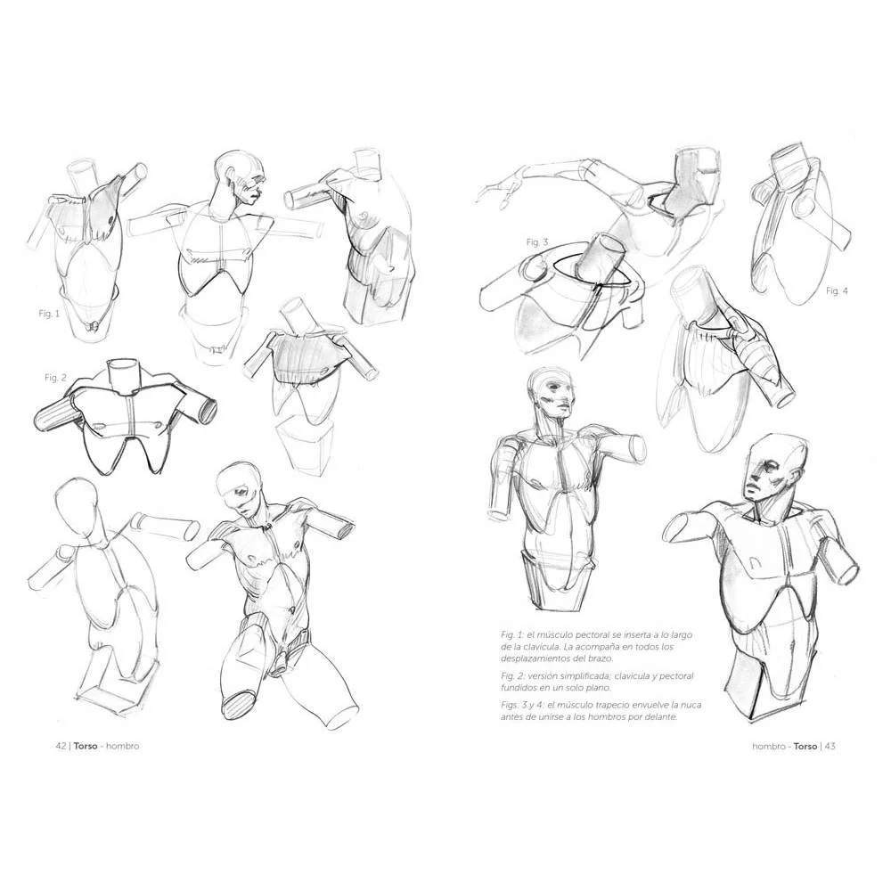 Anatomía artística 2: Cómo dibujar el cuerpo humano de forma esquemática - Image 3