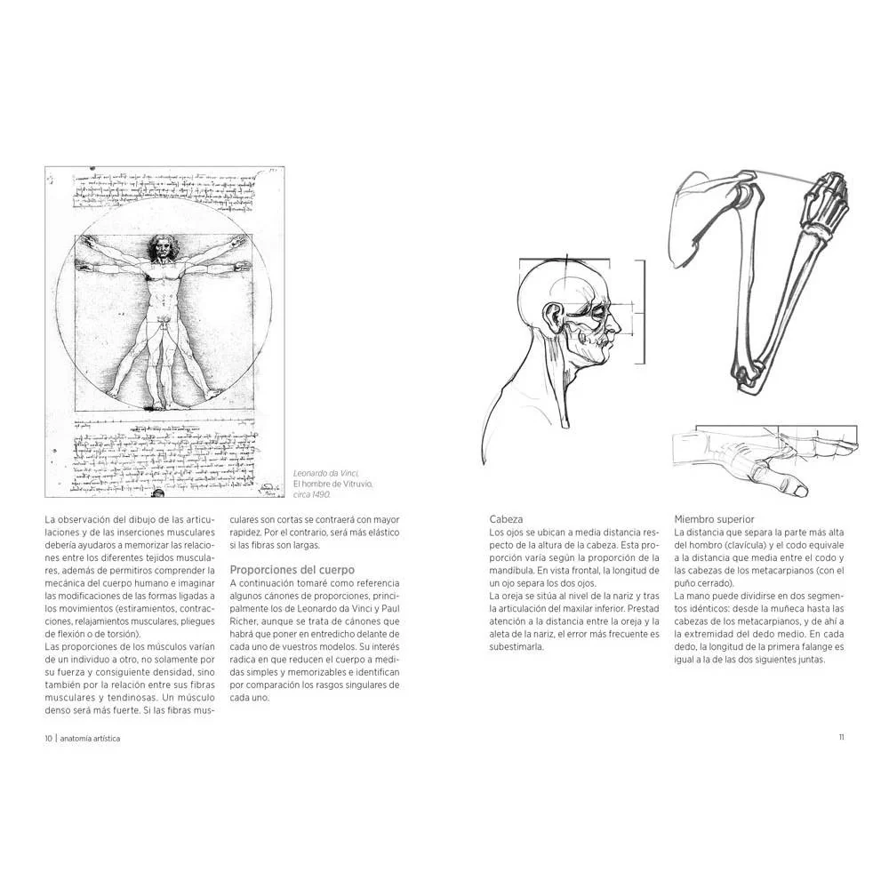 Anatomía artística - Image 2