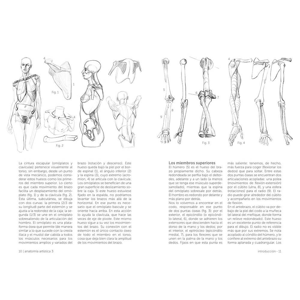 Anatomía artística 3: El esqueleto - Image 2