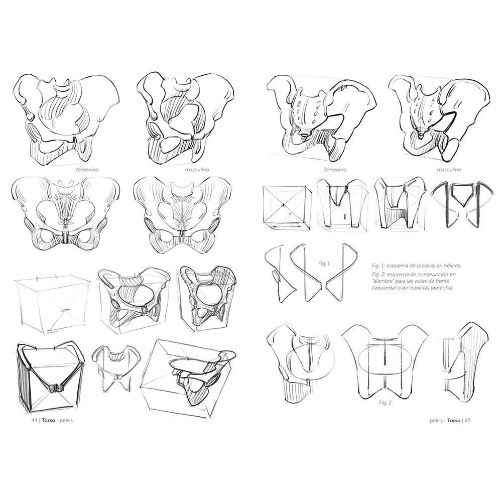 Anatomía artística 3: El esqueleto - Image 3