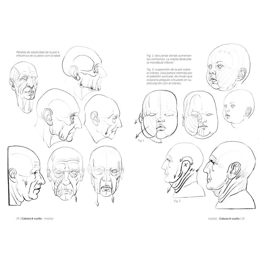 Anatomía artística 4: Grasas y pliegues de la piel - Image 3