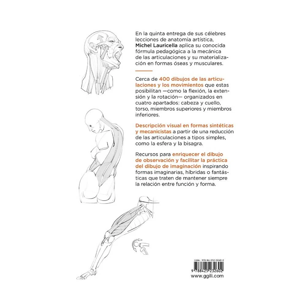 Anatomía artística 5: Articulaciones y funciones musculares - Image 6