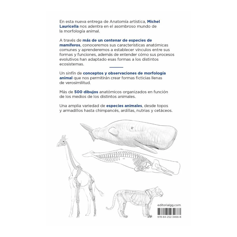 Anatomía artística 9, Mamíferos: morfología comparada - Image 6