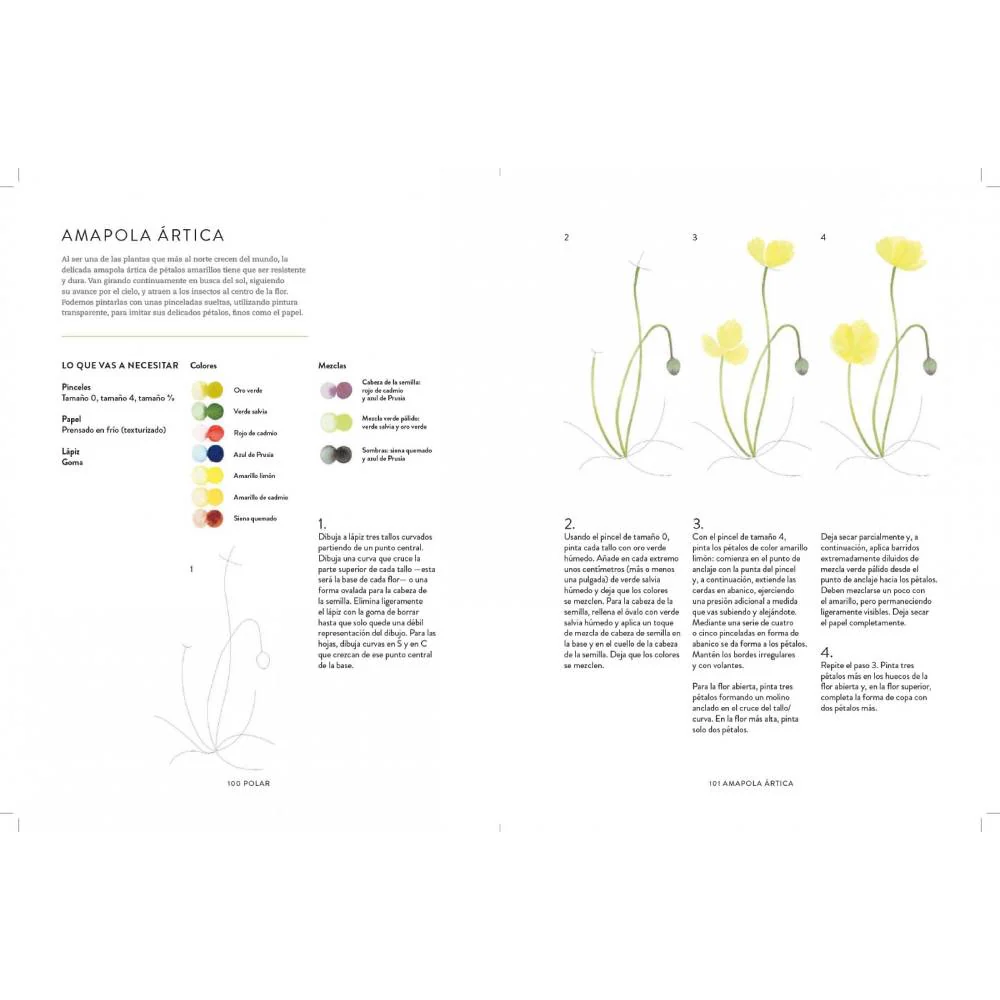 Aves, abejas y flores: Guía paso a paso para pintar plantas y animales con acuarela - Image 4