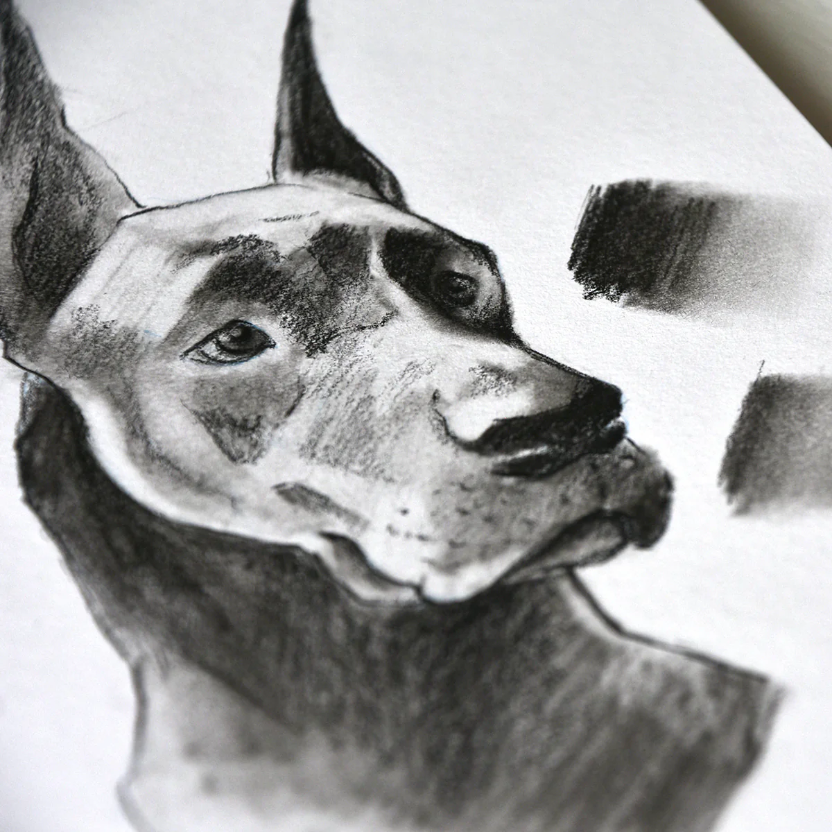Bloc Dibujo A5 Amperse - Image 3