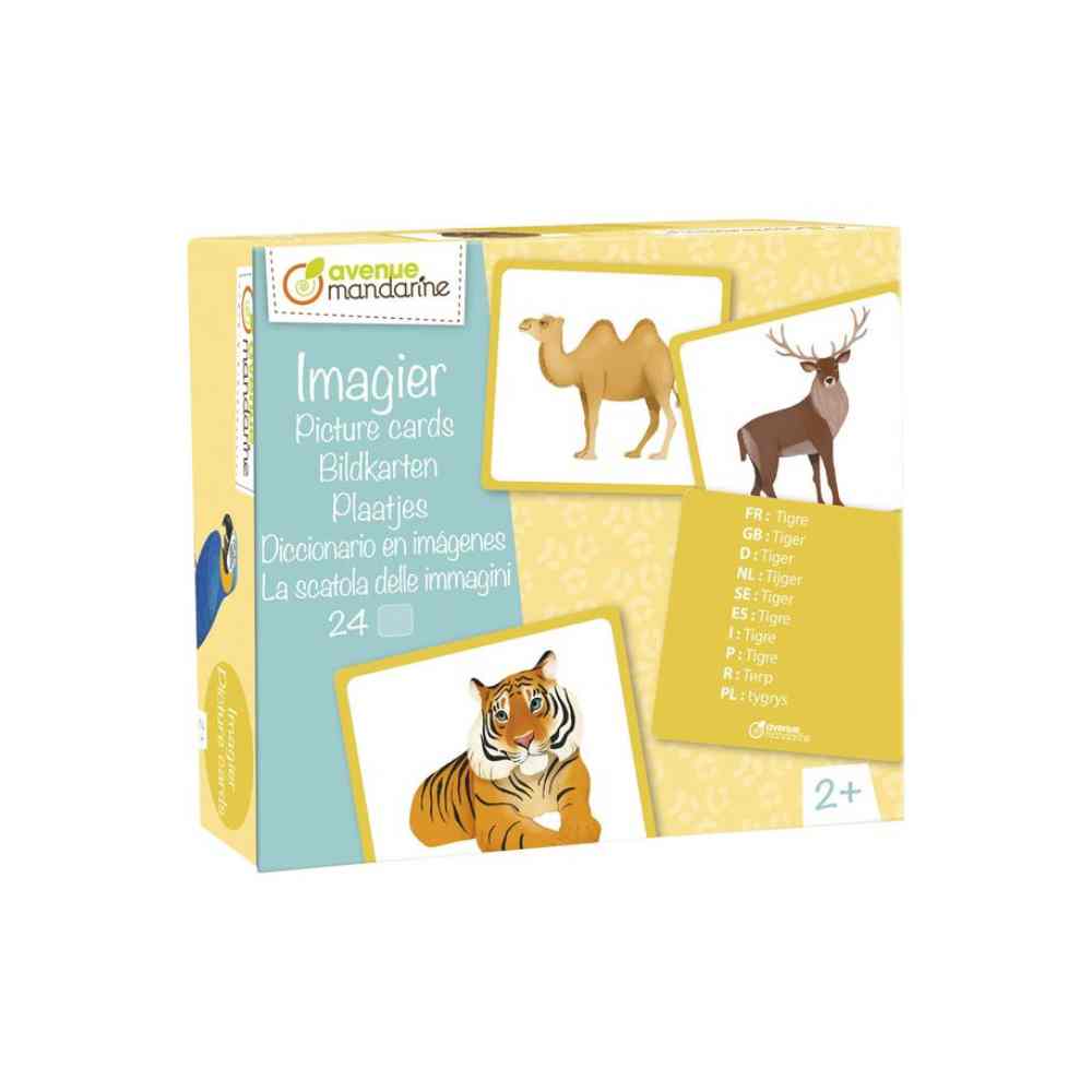 Caja Educativa Animales Avenue Mandarine - Image 2