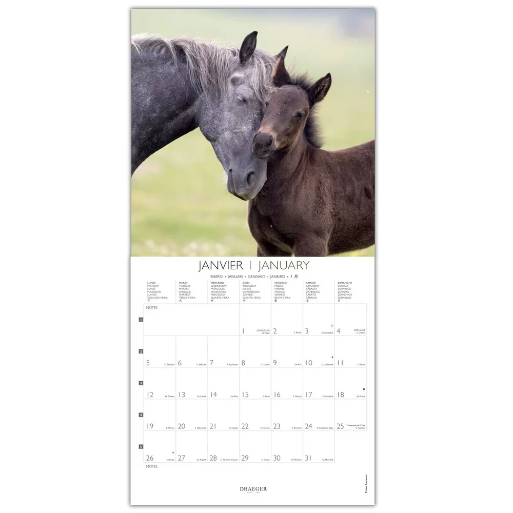 Calendario 2026 Grande Caballos Draeger - Image 2