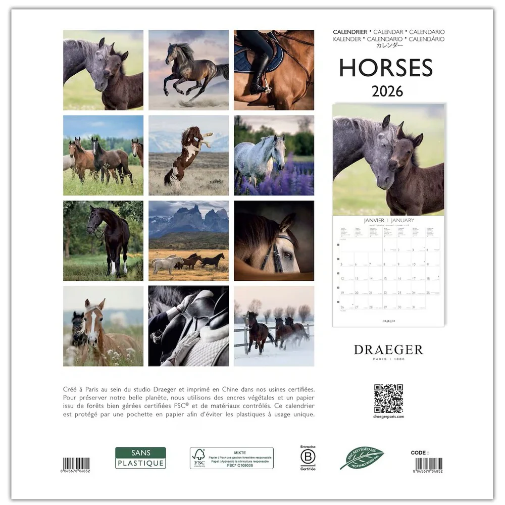Calendario 2026 Grande Caballos Draeger - Image 3