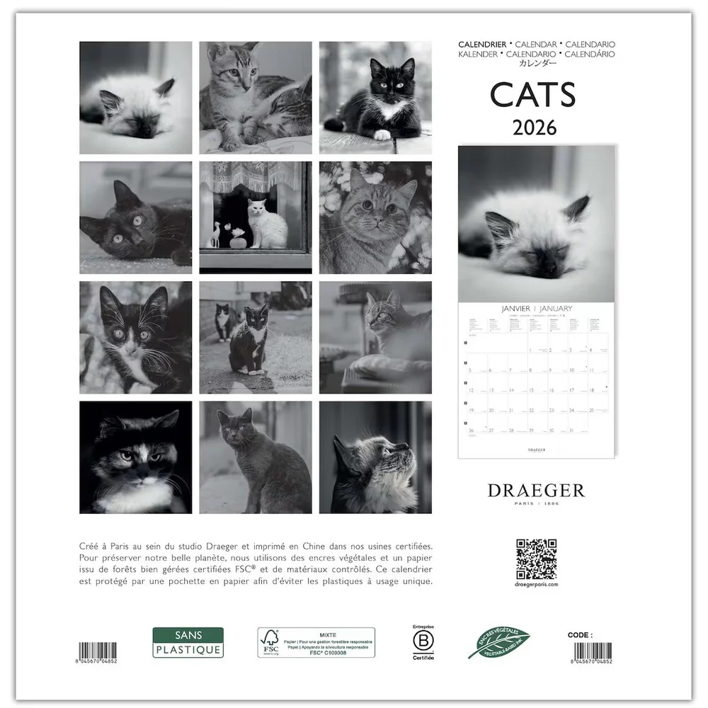 Calendario 2026 Grande Gatos Blanco & Negro Draeger - Image 3