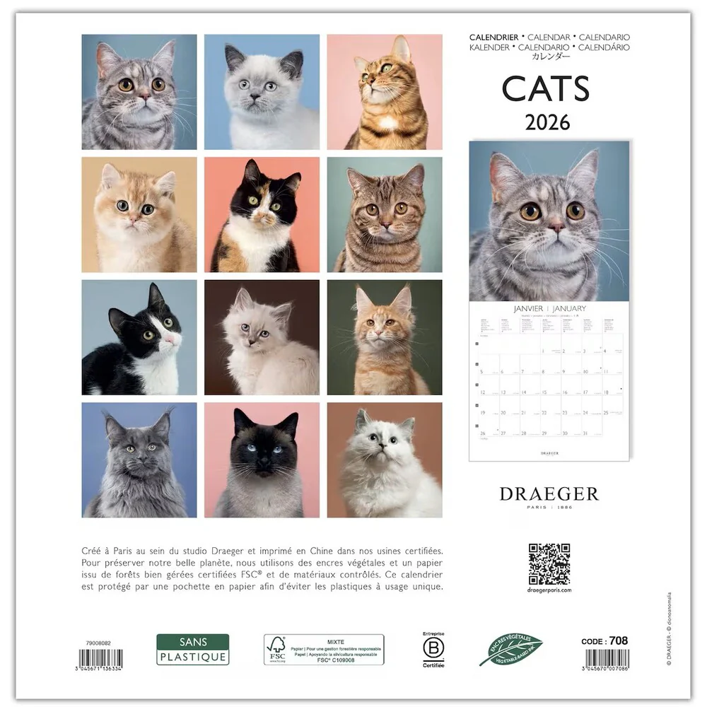Calendario 2026 Grande Gatos Draeger - Image 3