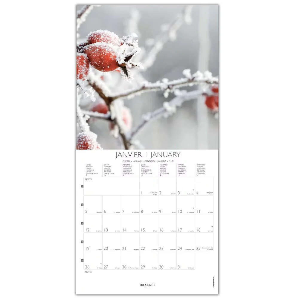 Calendario 2026 Grande Jardines Draeger - Image 2