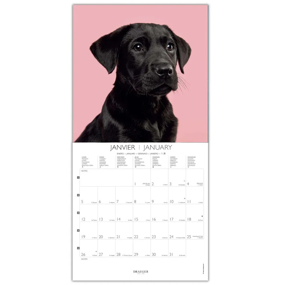 Calendario 2026 Grande Perros Draeger - Image 2
