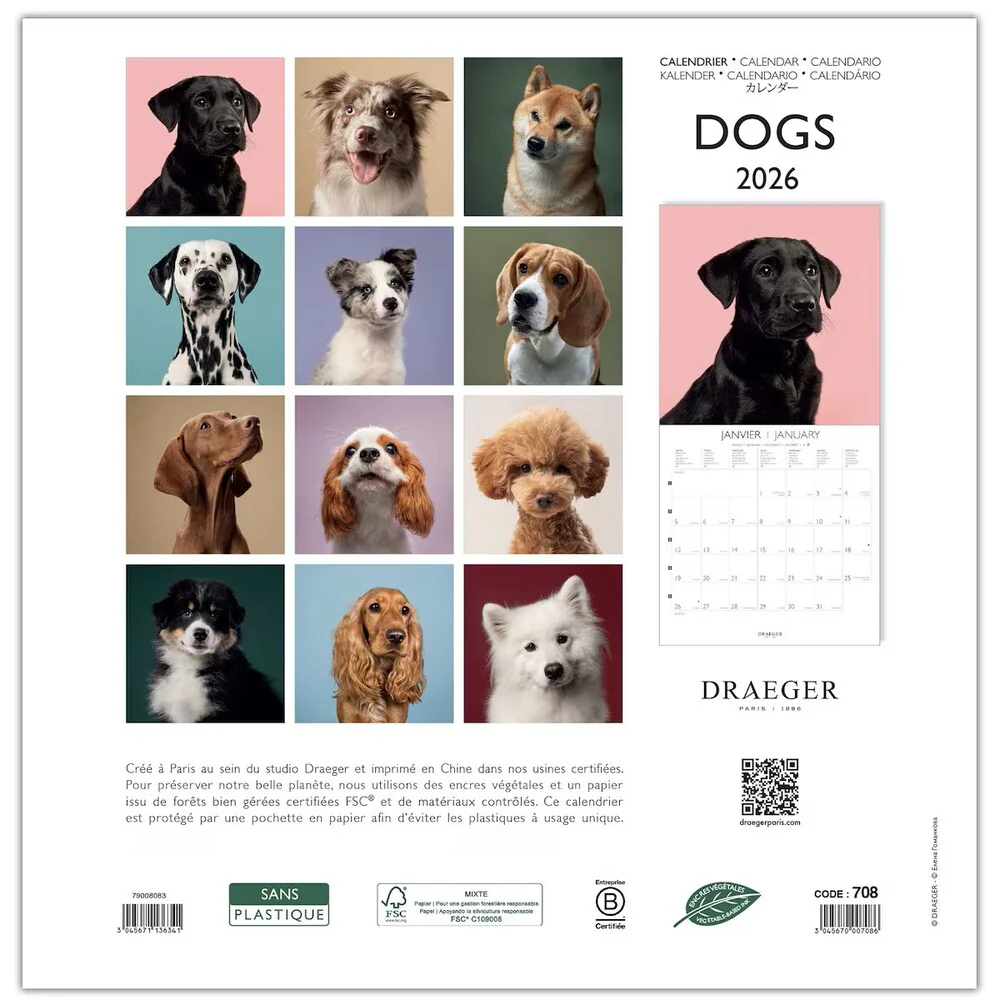 Calendario 2026 Grande Perros Draeger - Image 3