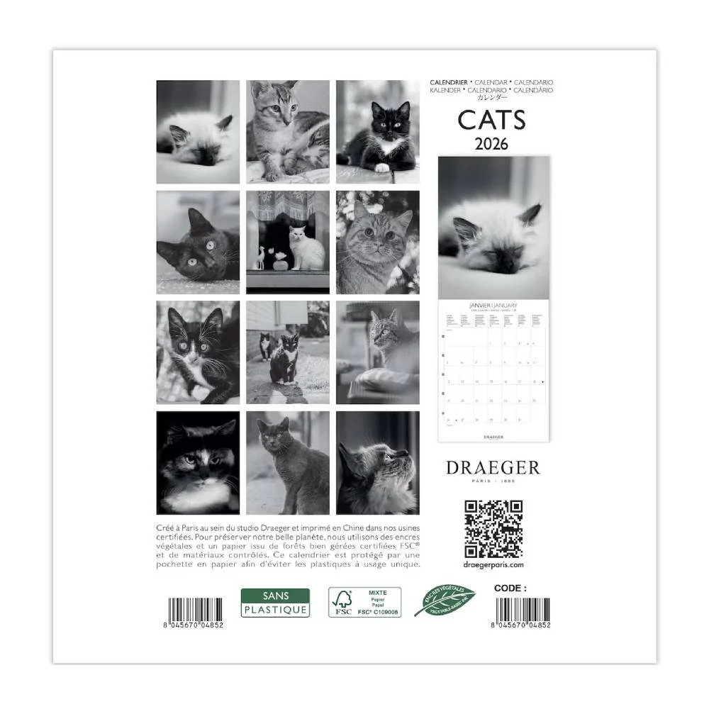 Calendario 2026 Pequeño Gatos Blanco & Negro Draeger - Image 3