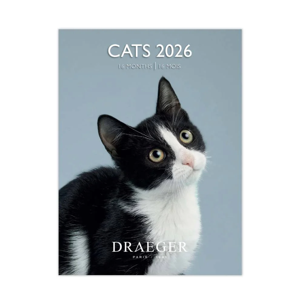 Calendario 2026 Pequeño Gatos Draeger