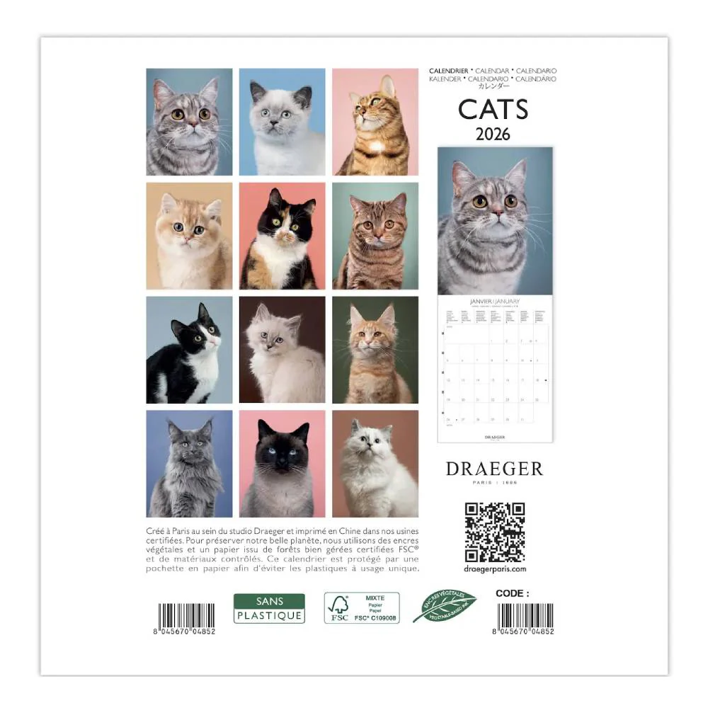 Calendario 2026 Pequeño Gatos Draeger - Image 3