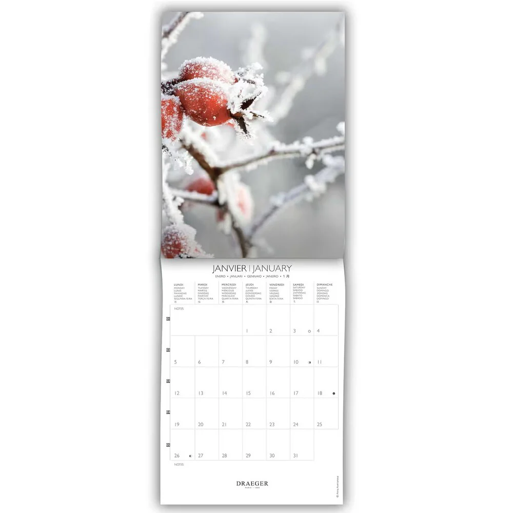 Calendario 2026 Pequeño Jardines Draeger - Image 2