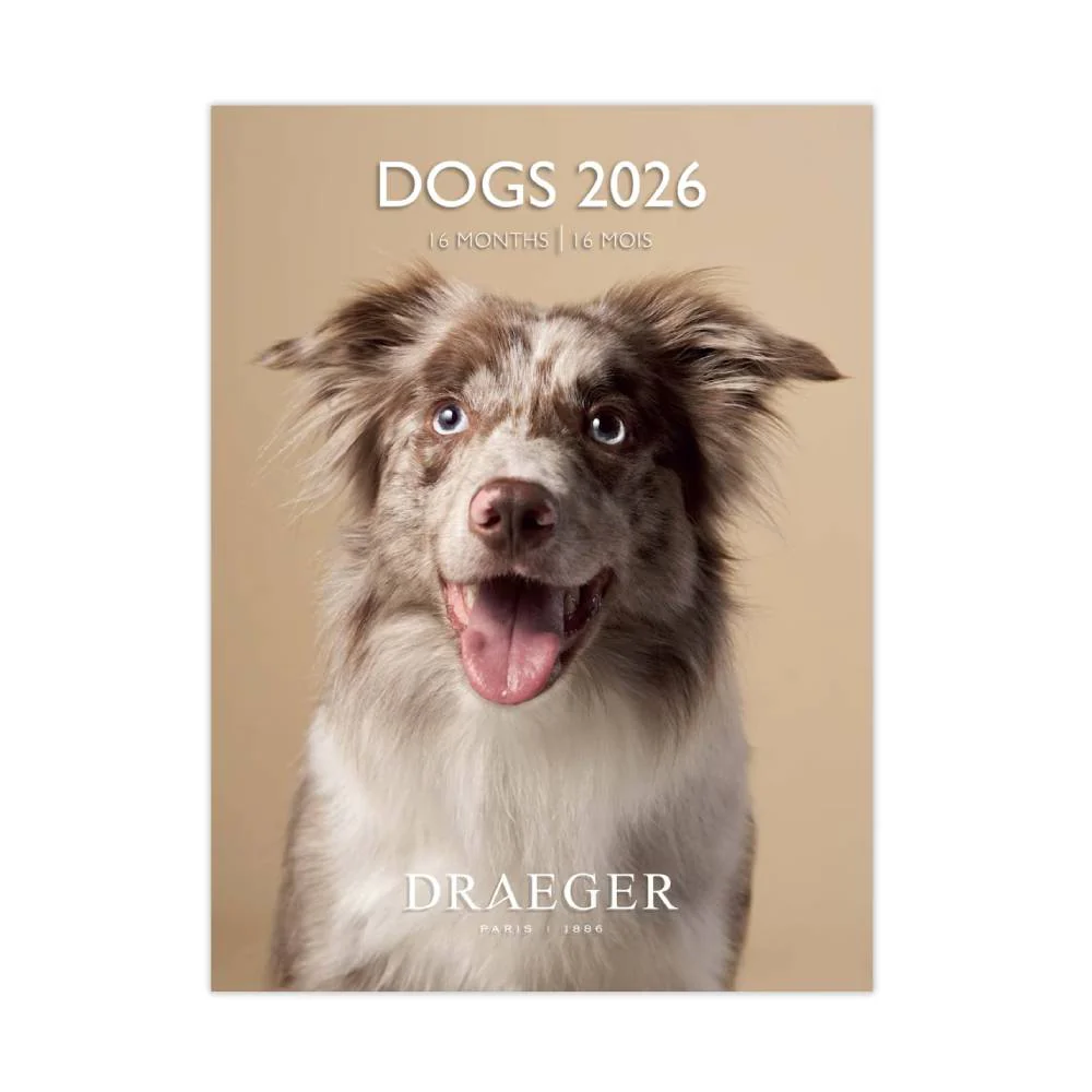 Calendario 2026 Pequeño Perros Draeger