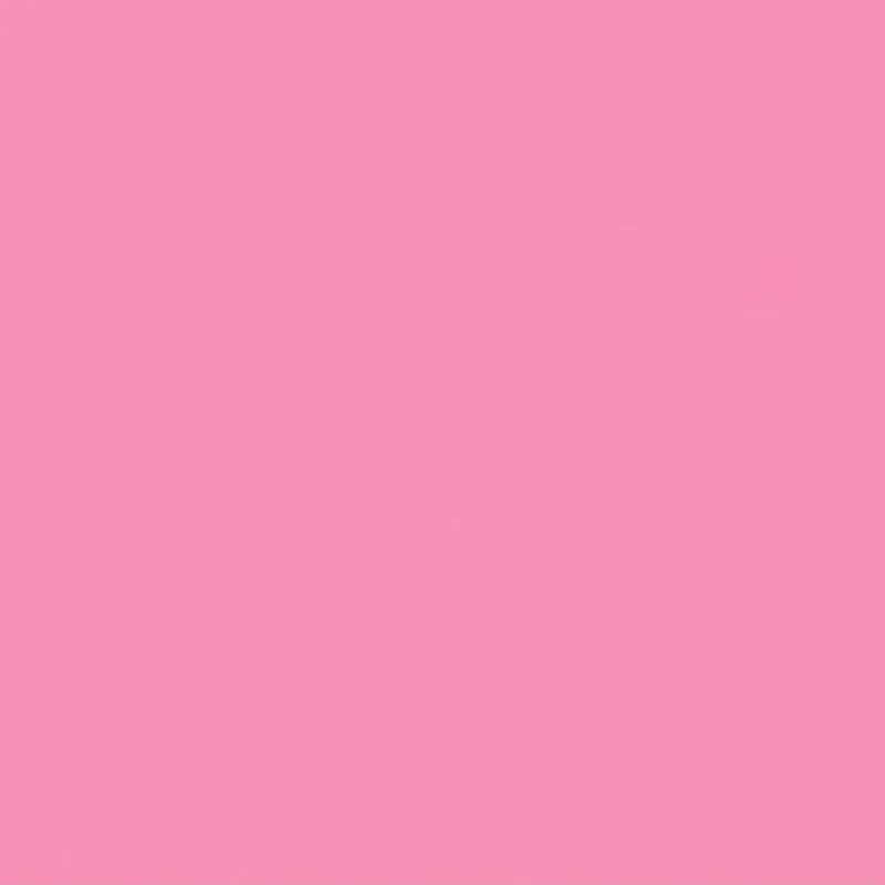 Cartulina Iris Rosa Chilcle 50x65 185gr Canson