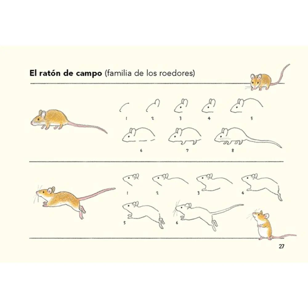Cómo son los animales y cómo dibujarlos - Image 3