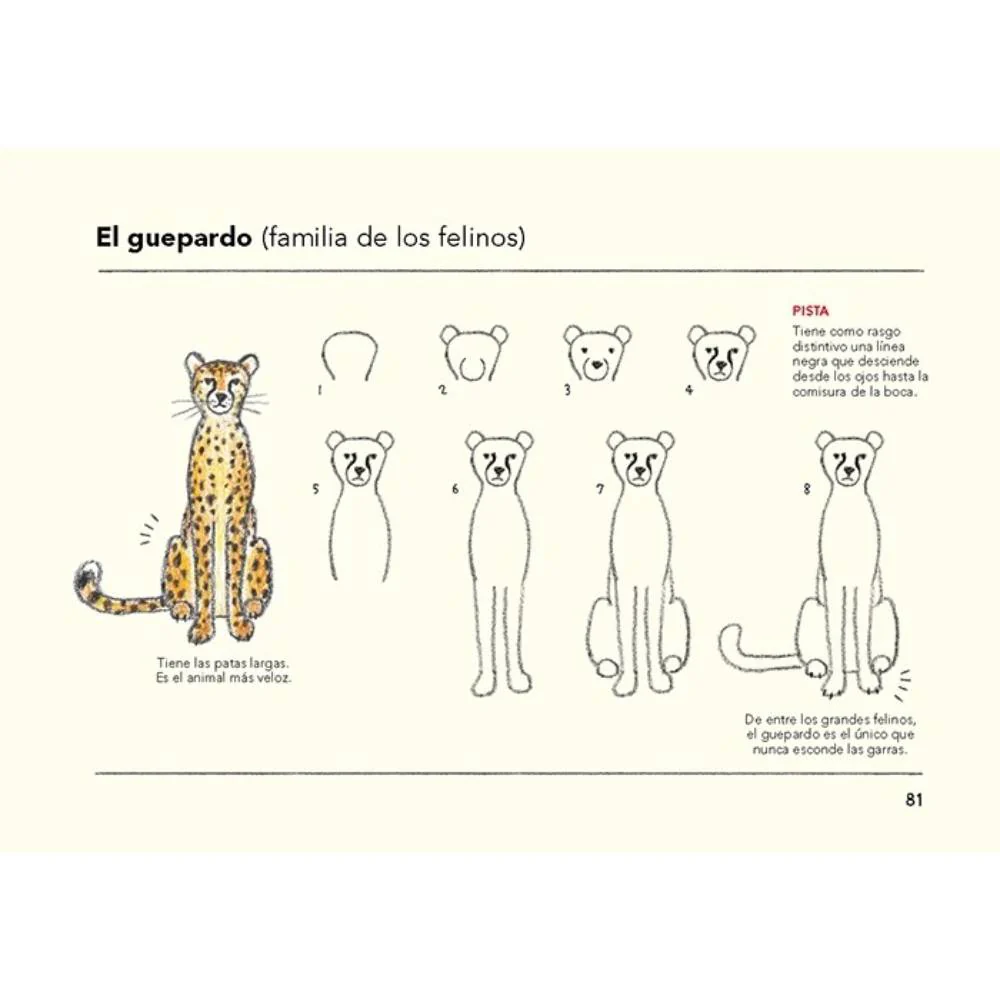 Cómo son los animales y cómo dibujarlos - Image 4
