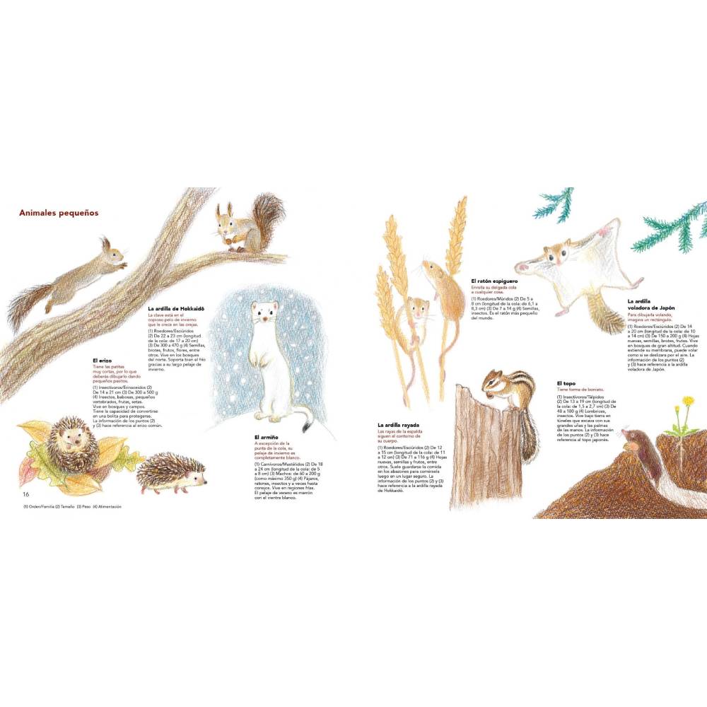 Cómo son los animales y cómo dibujarlos: Lápices de colores - Image 3