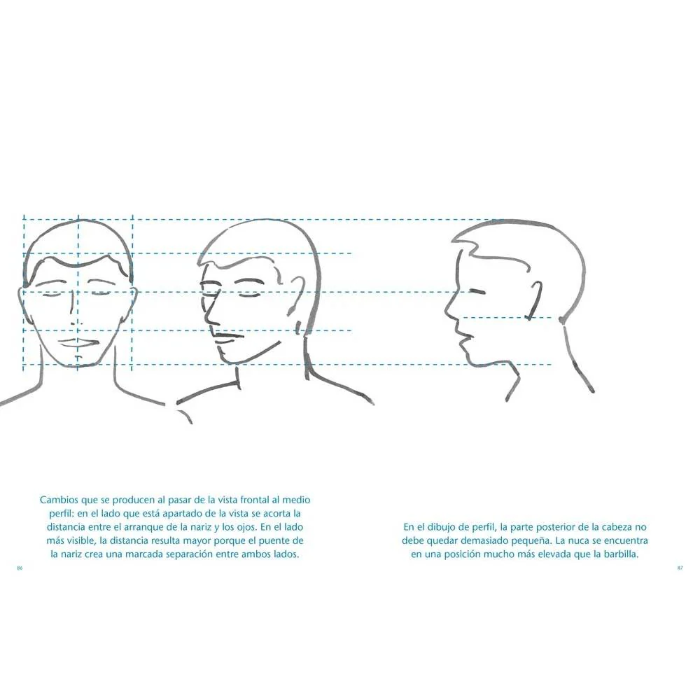 Dibujar el cuerpo humano - Image 5