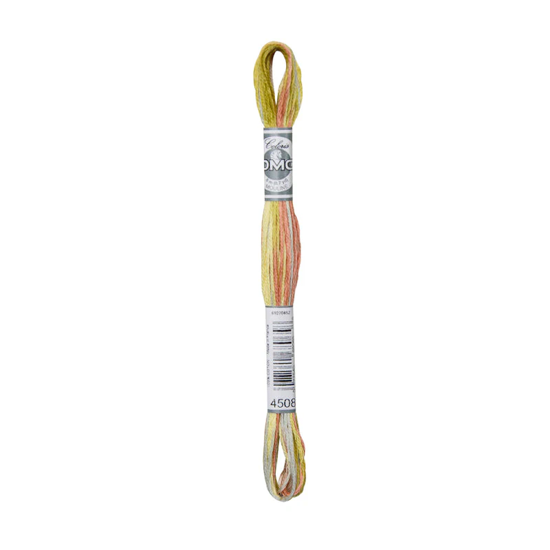 Hilo Bordar Mouliné Coloris DMC - Image 10
