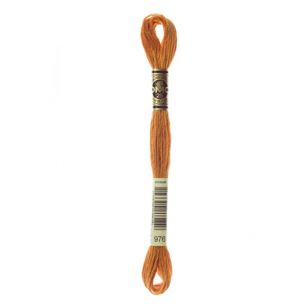 Hilo Bordar Mouliné Special DMC Tonos Marrones - Image 45