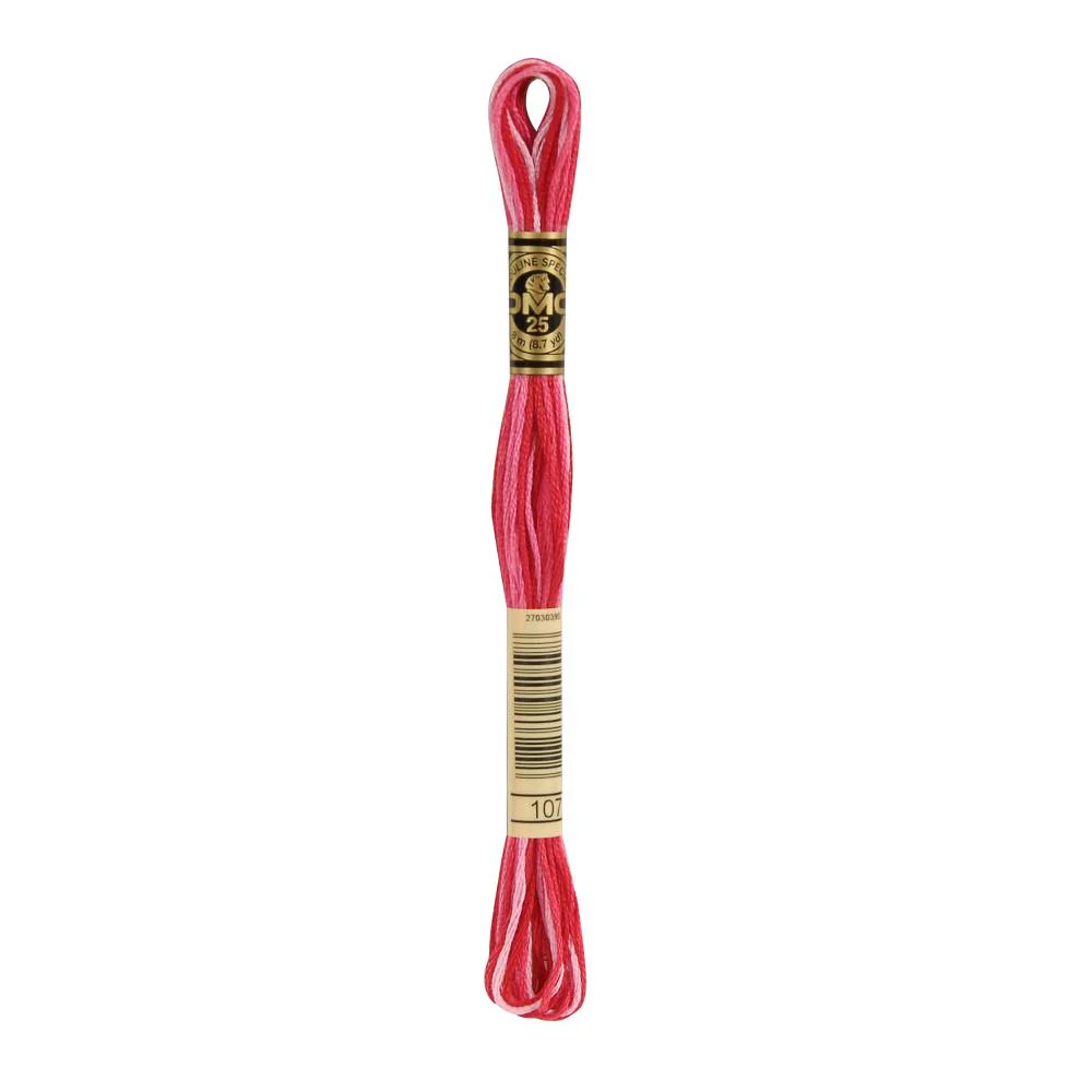 Hilo Bordar Mouliné Special DMC Tonos Multicolor - Image 15