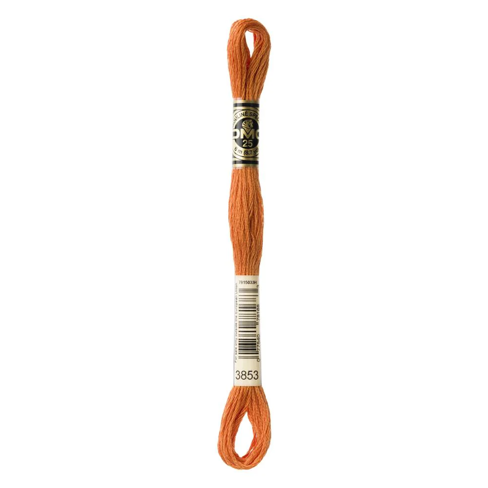 Hilo Bordar Mouliné Special DMC Tonos Naranjas - Image 3