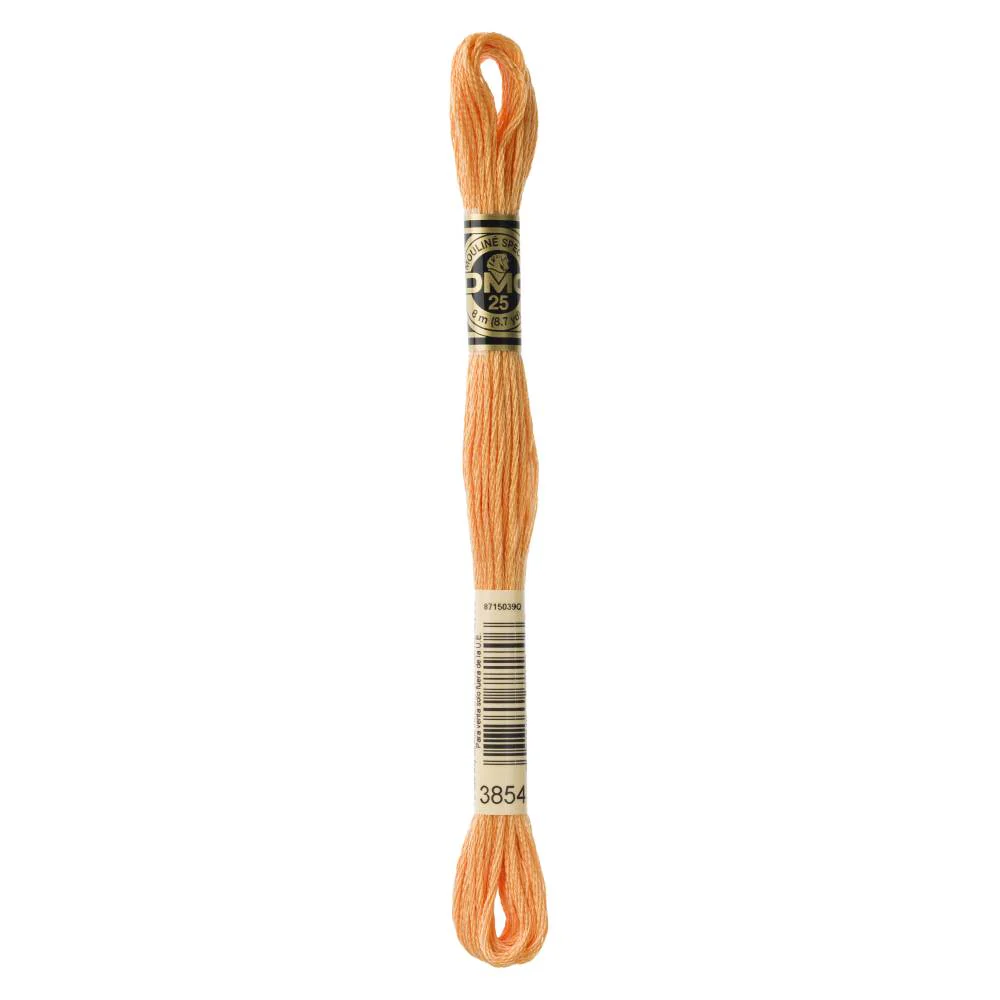 Hilo Bordar Mouliné Special DMC Tonos Naranjas - Image 4
