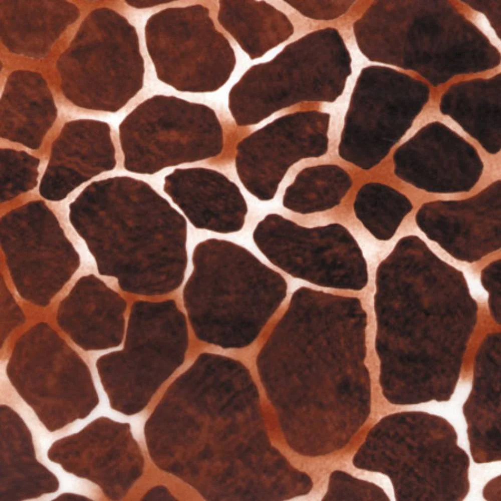 Hoja Jirafa Décopatch 30x40 cm Nº209 - Image 2