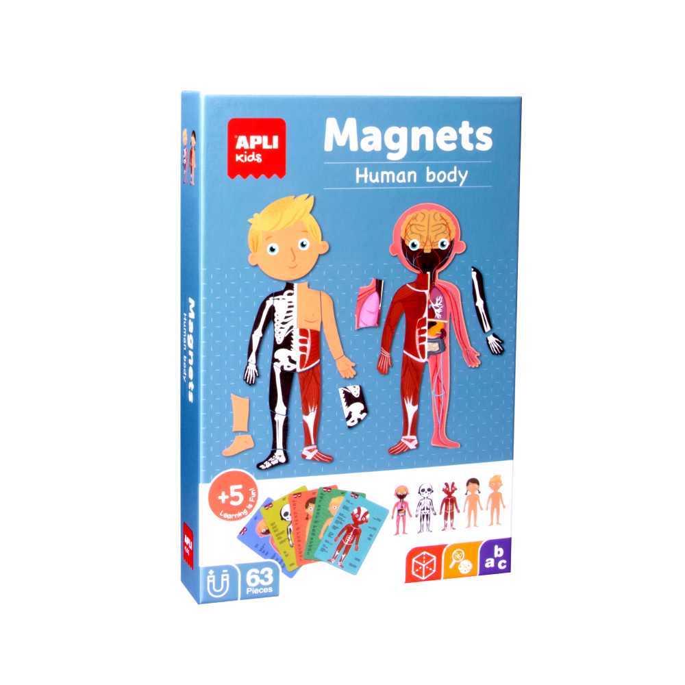 Juego Magnético El Cuerpo Humano Apli Kids - Image 2