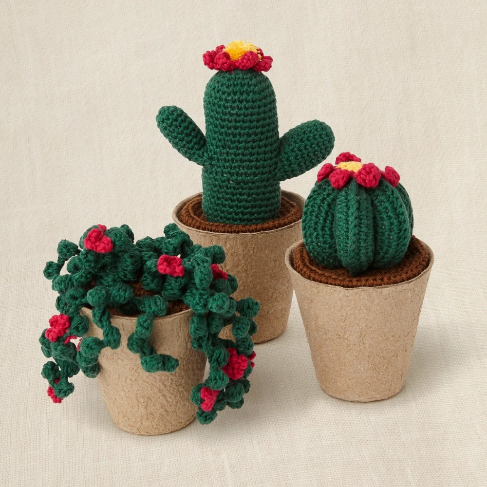 Kit Crochet Cactus Amigurumis - Image 3