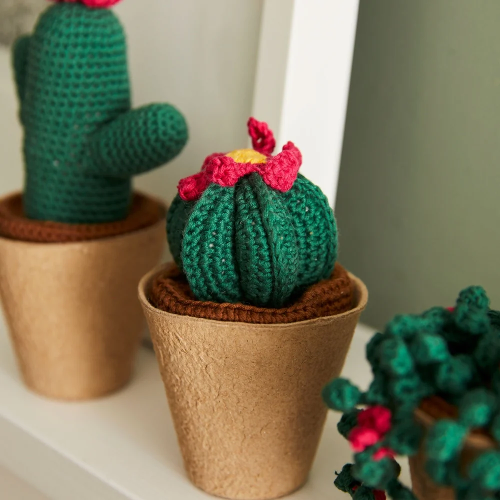 Kit Crochet Cactus Amigurumis - Image 4