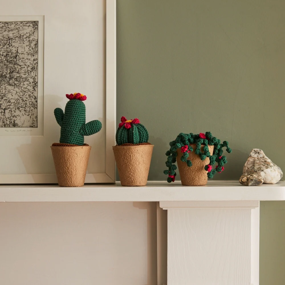 Kit Crochet Cactus Amigurumis - Image 6