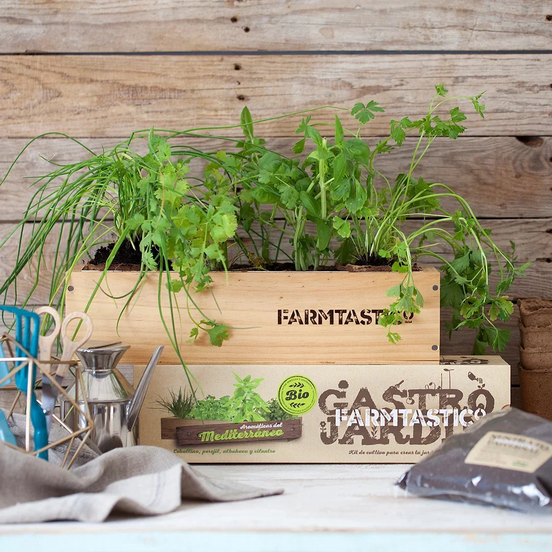 Kit Huerto de Hierbas del Mediterráneo Farmtastico - Image 2
