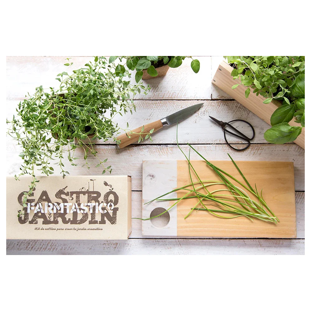 Kit Huerto de Hierbas del Mediterráneo Farmtastico - Image 3