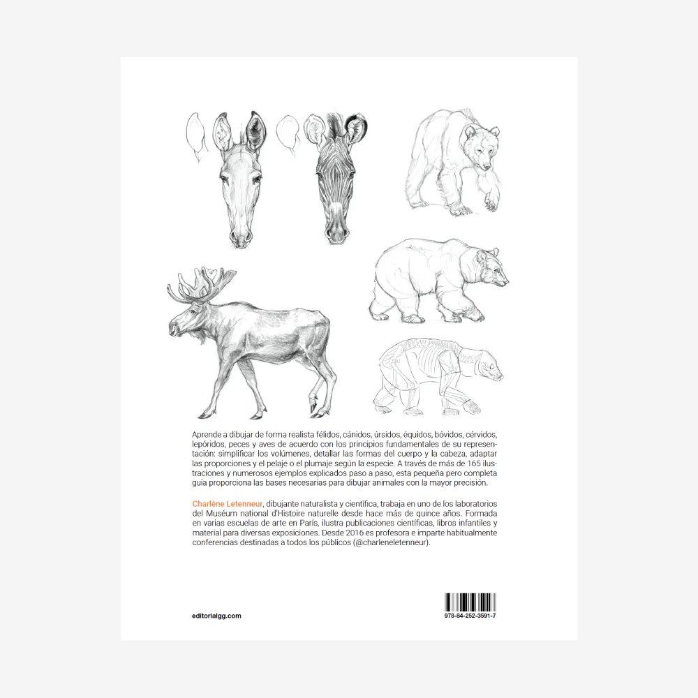 Libro Dibujar los Animales GG - Image 2