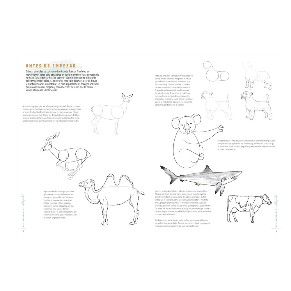 Los Cuadernos del Dibujante: Animales El Drac - Image 4