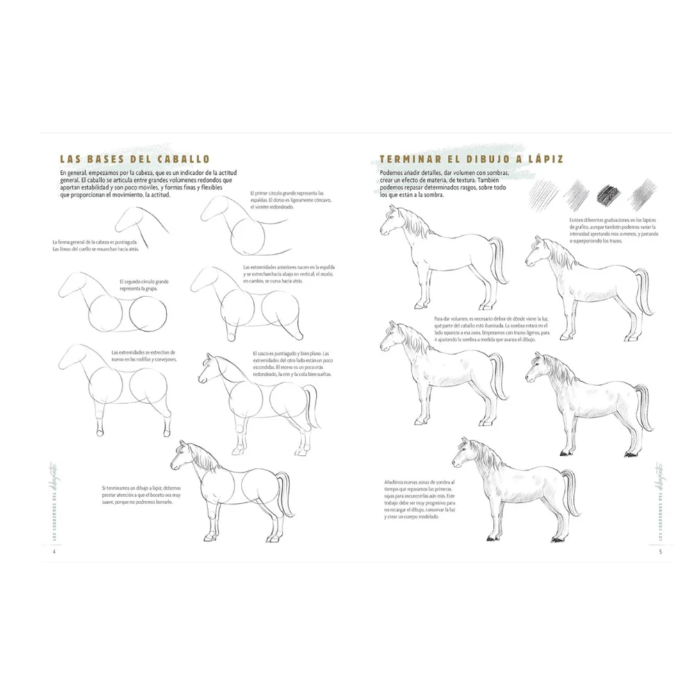 Los Cuadernos del Dibujante: Caballos y Ponis El Drac - Image 4